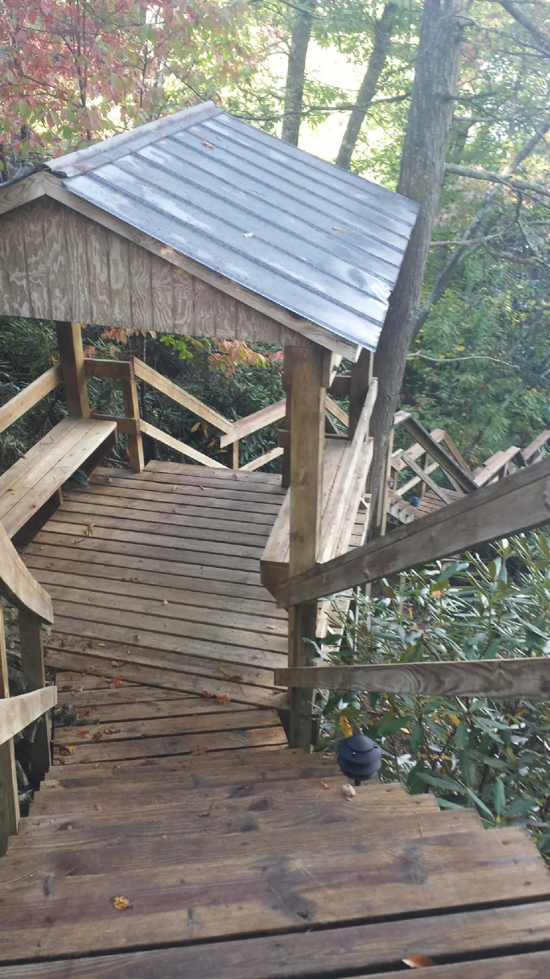 Metal roofed shelter over wooden steps on a wooded walkway — Skylight Repair & Installation work by our crew in Mulliken